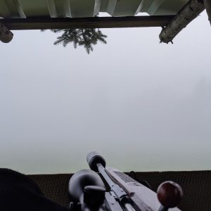 Ansitz im dichten Nebel