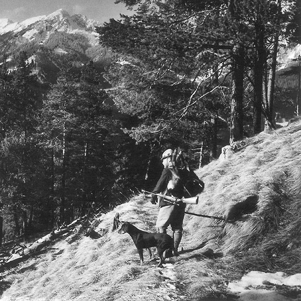 schwarz-weiss Bild aus den Alpen mit einer Bracke und Jäger