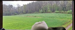Ansitz am ersten Mai