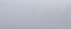 Ansitz im dichten Nebel
