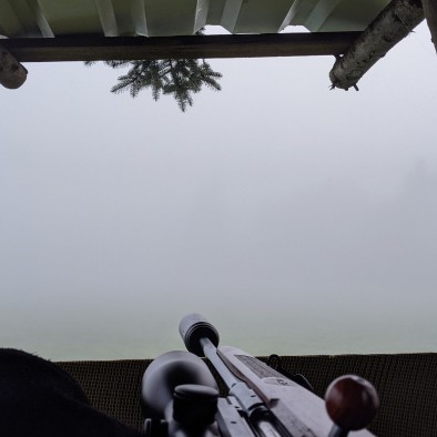 Ansitz im dichten Nebel