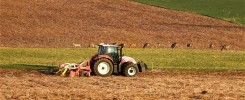 Rehe und Traktor auf dem Feld